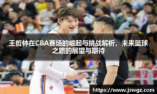 王哲林在CBA赛场的崛起与挑战解析，未来篮球之路的展望与期待
